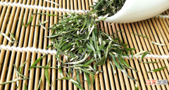 金山翠芽是什么茶？