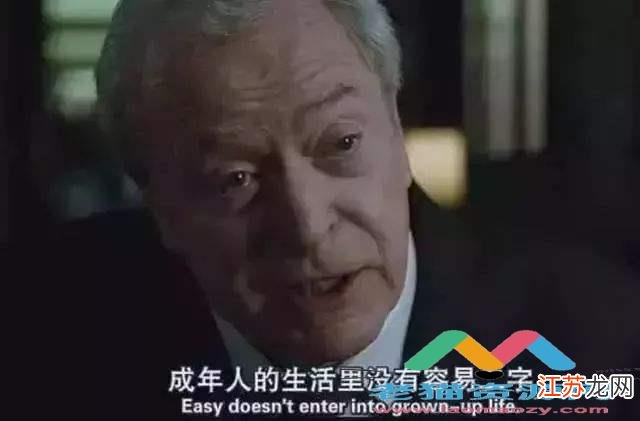 泰迪犬的哪些部位是不能够随便打的？
